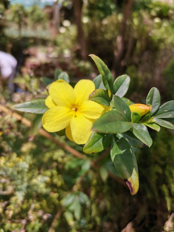 The Galways Edge Homestay Nuwara Eliya Bagian luar foto